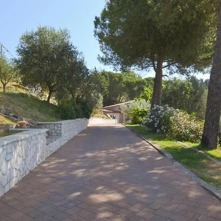 Amazing In * Magione